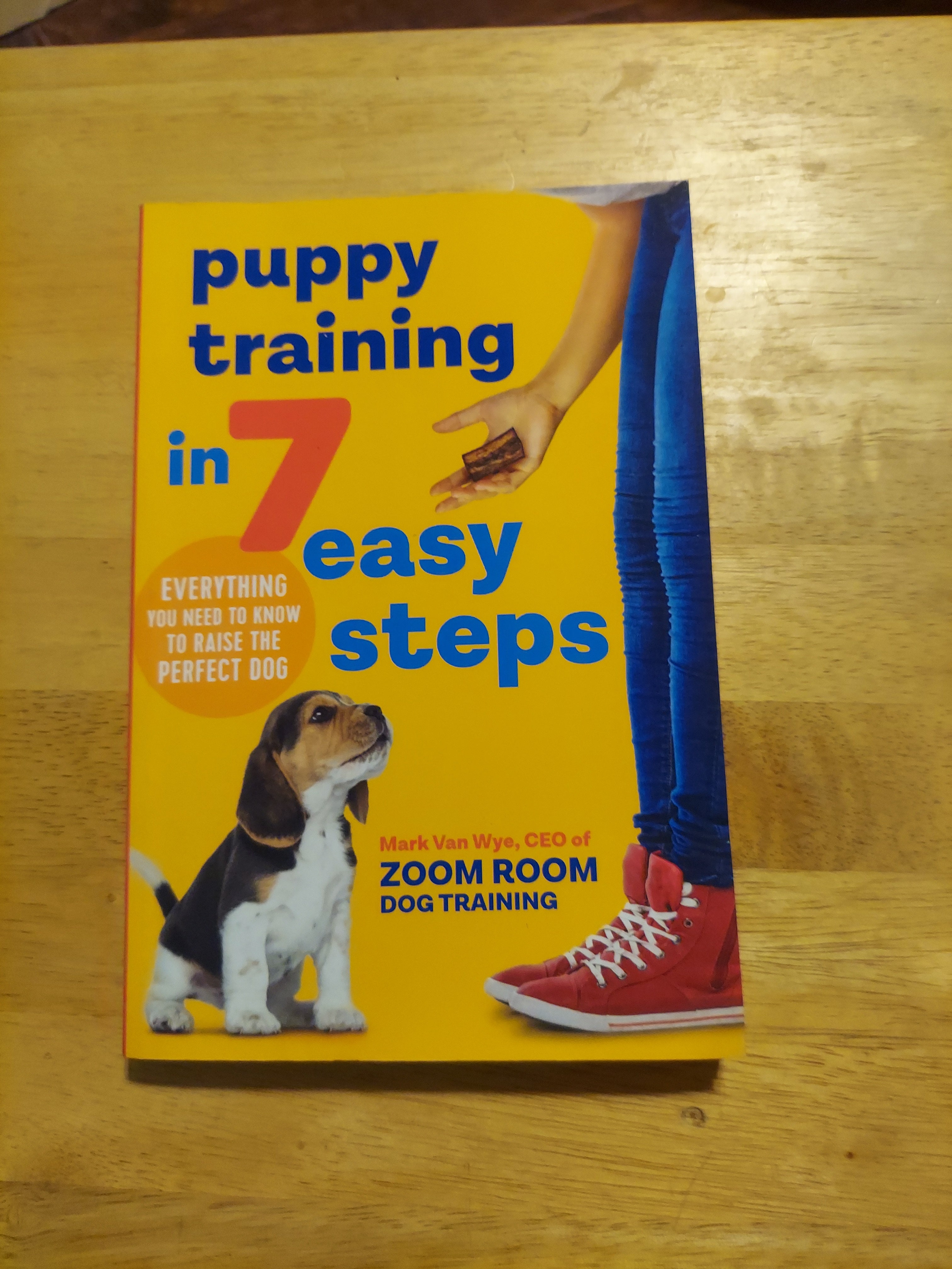 Puppy Training in 7 Easy Steps