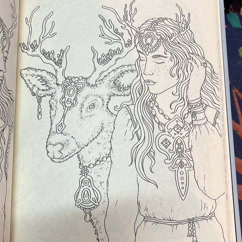 Spirit Animals Coloring Book