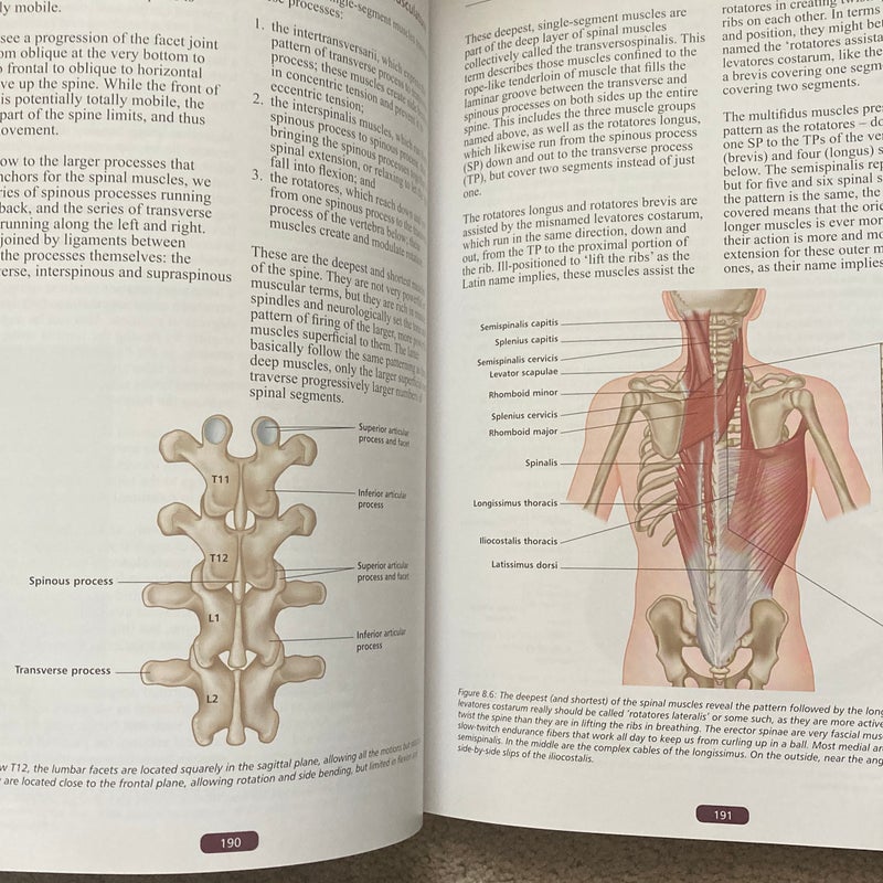 Fascial Release for Structural Balance, Revised Edition