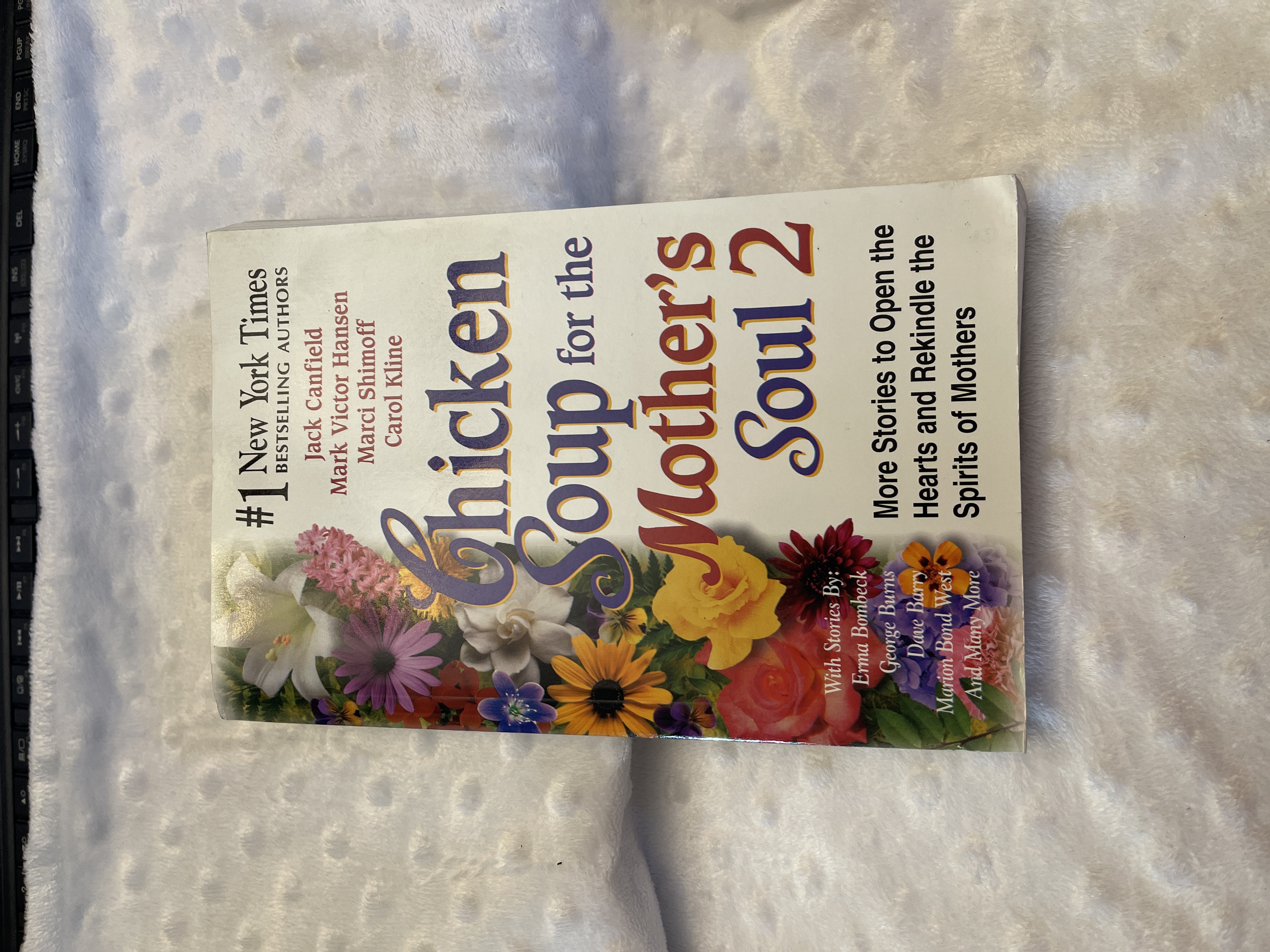 Chicken Soup for the Mother's Soul 2