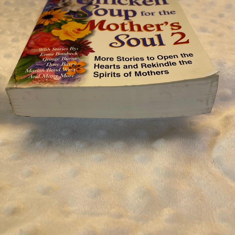 Chicken Soup for the Mother's Soul 2