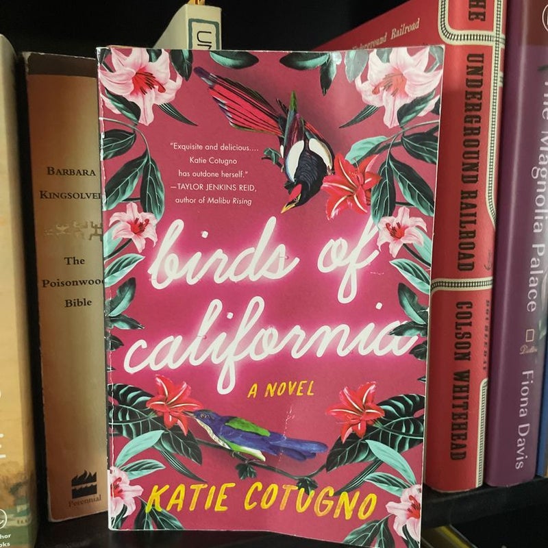 Birds of California