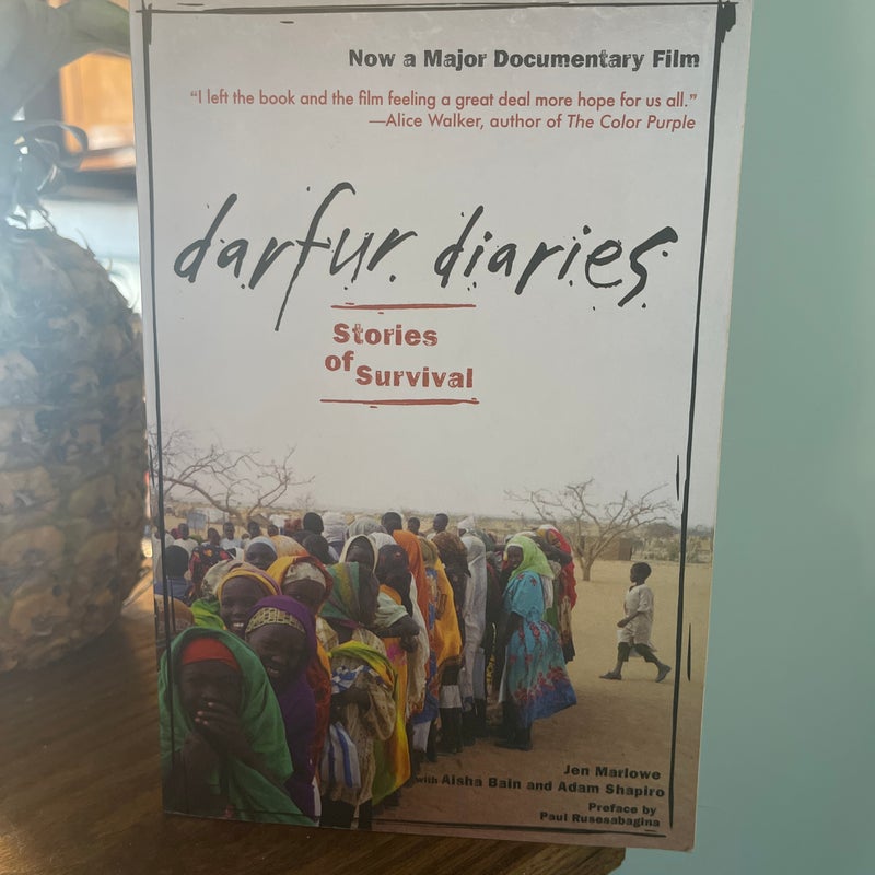 Darfur Diaries