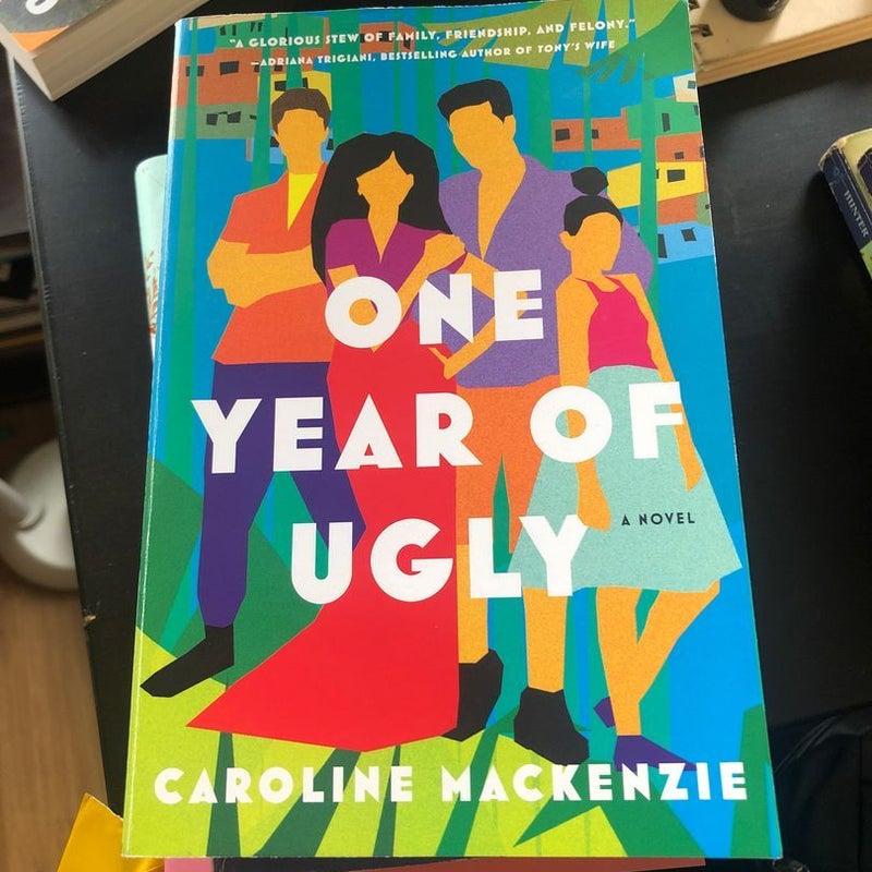 One Year of Ugly