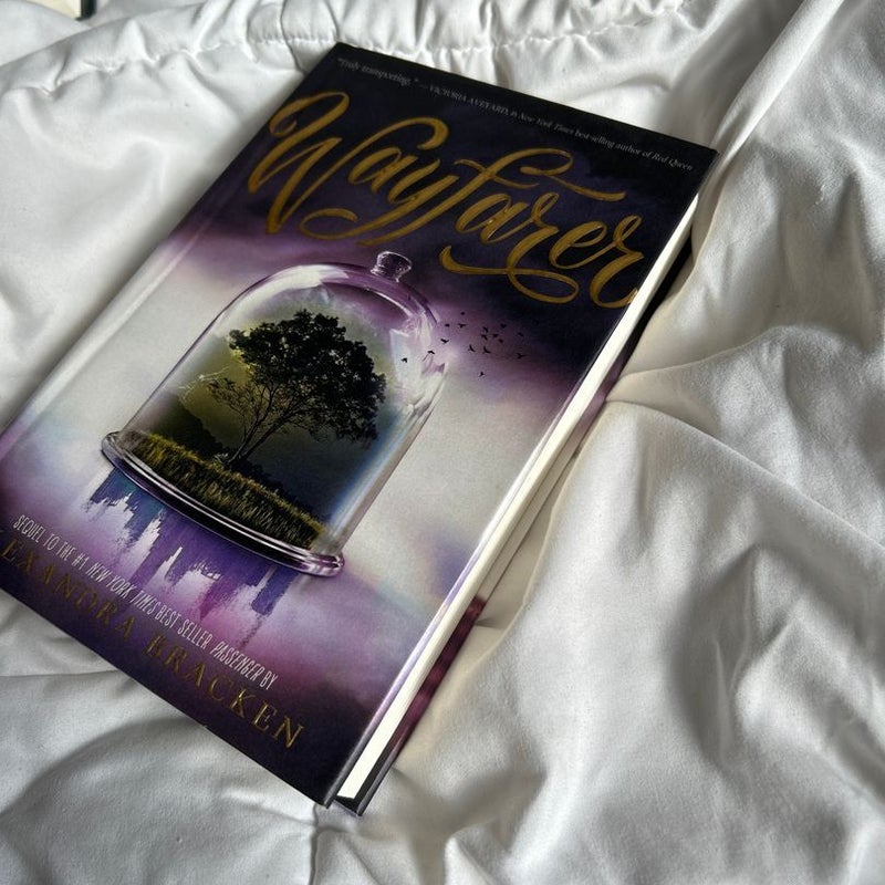Wayfarer (a Passenger Novel, Book 2)
