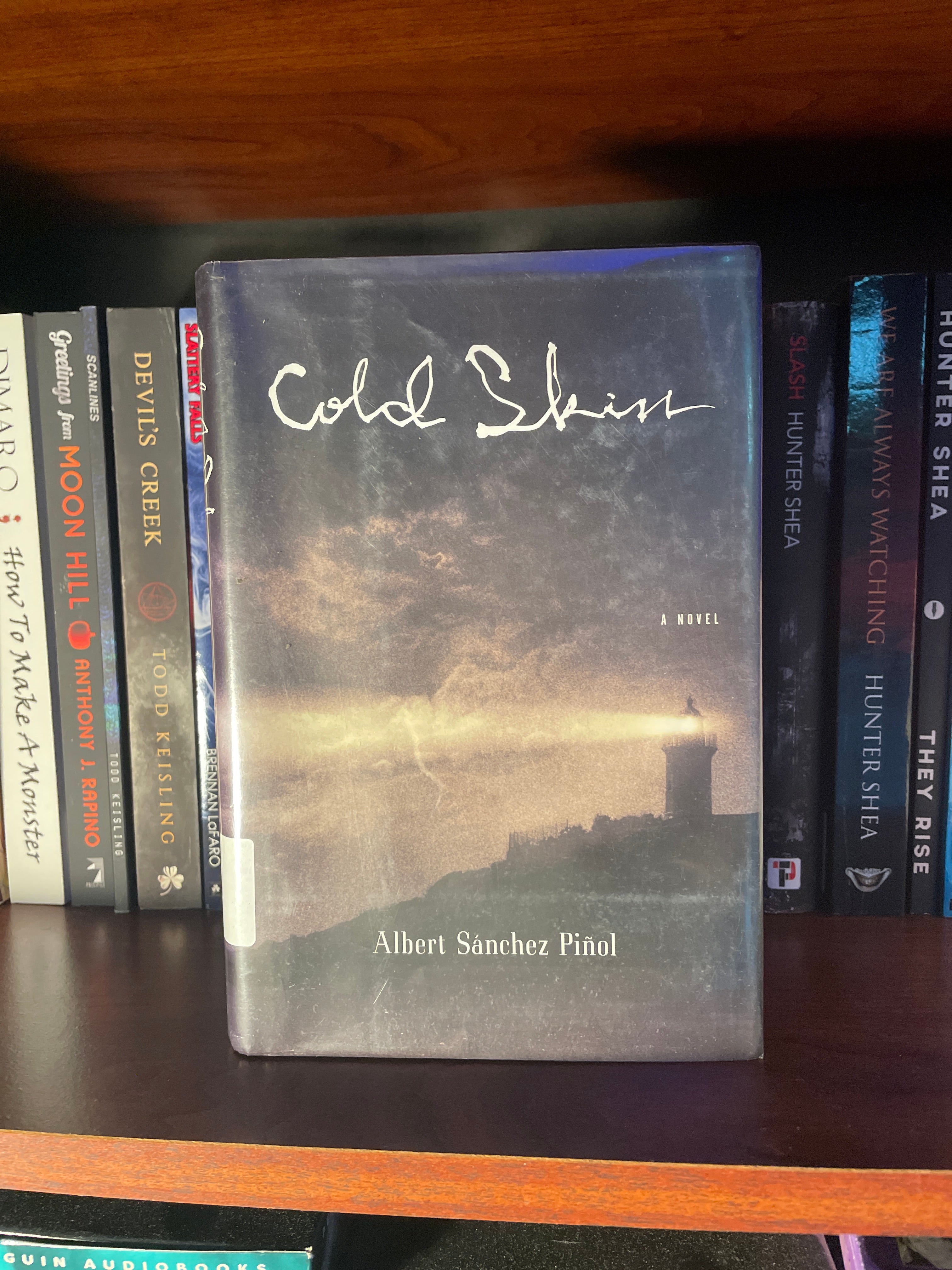 Cold Skin