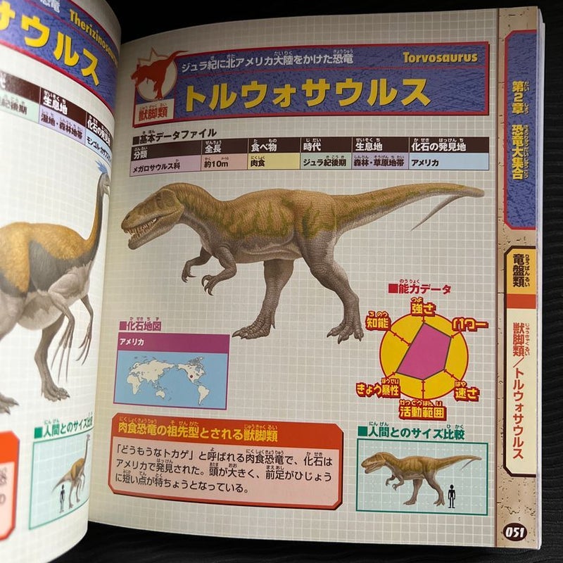 Perfect book of dinosaurs 🦕 