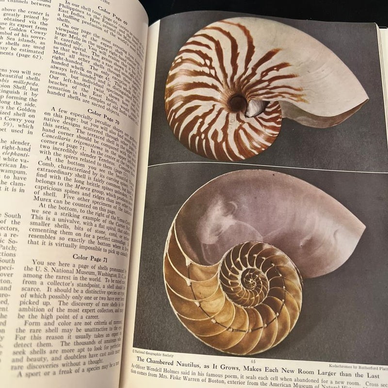 National Geographic Magazine, 1949 July