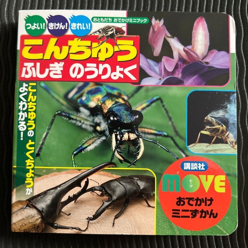 Interesting Bugs