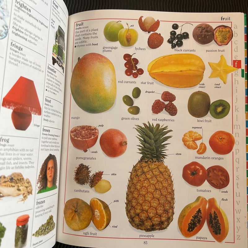 The Children's Illustrated Dictionary