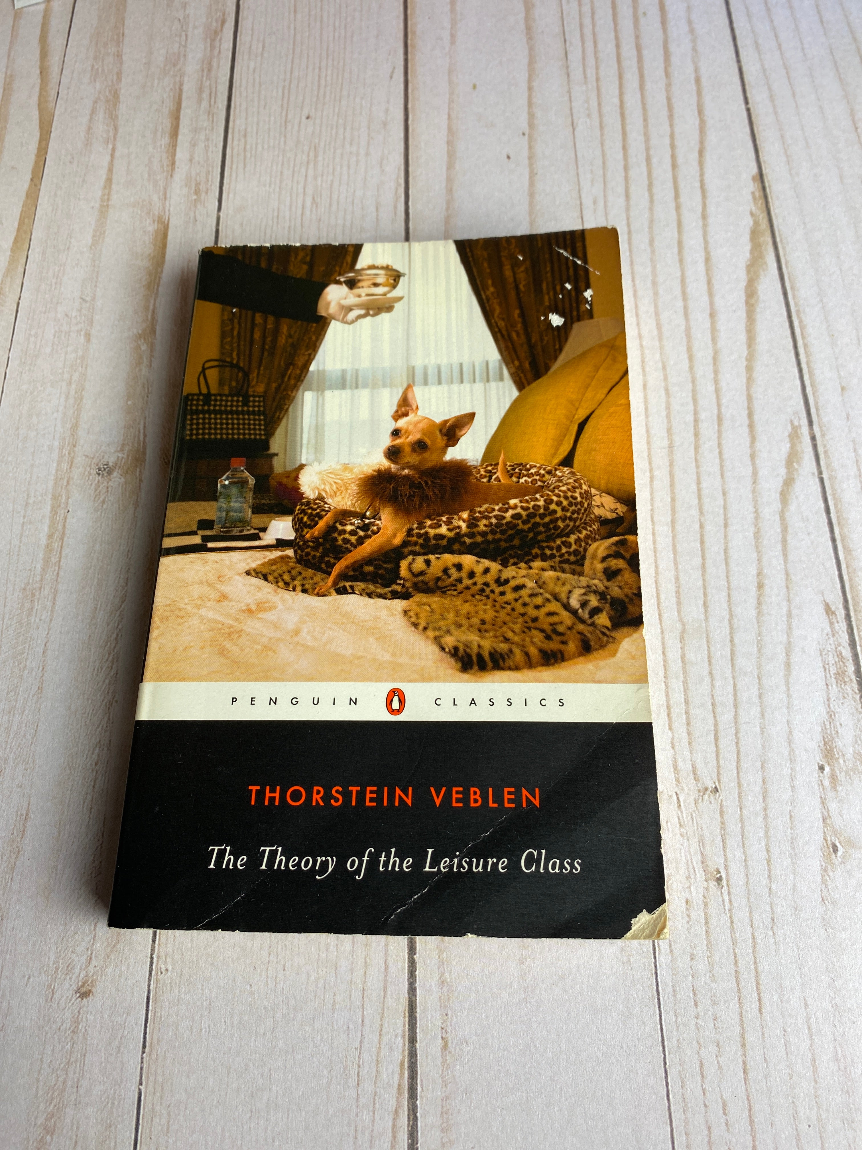 The Theory of the Leisure Class