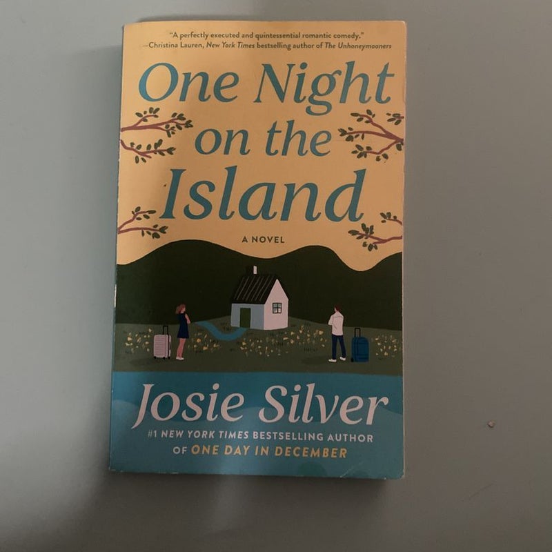 One Night on the Island