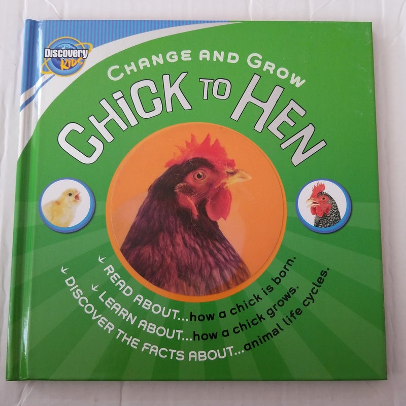 Chick to hen
