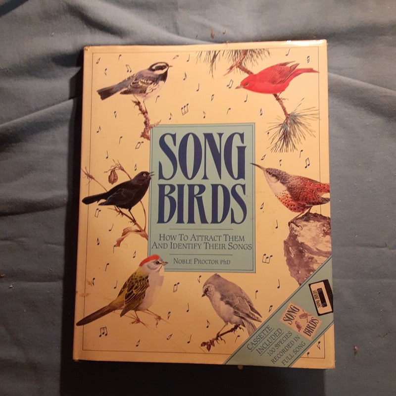 Song Birds