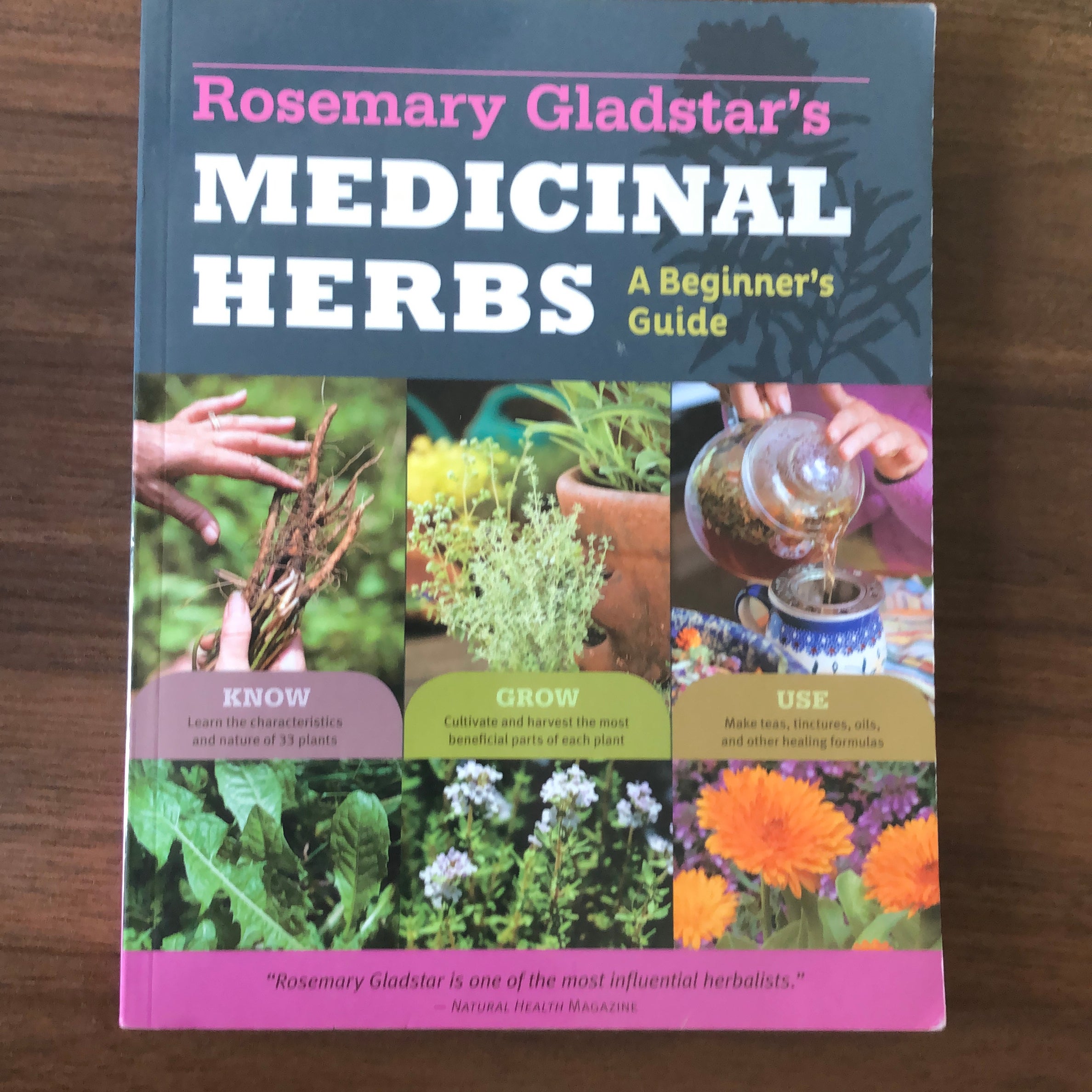 Rosemary Gladstar's Medicinal Herbs: A Beginner's Guide By Rosemary ...