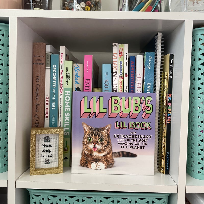 Lil BUB's Lil Book