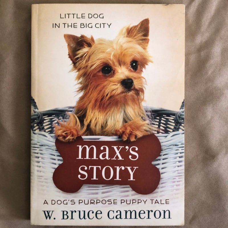 Little Dog In The Big City Max’s Story