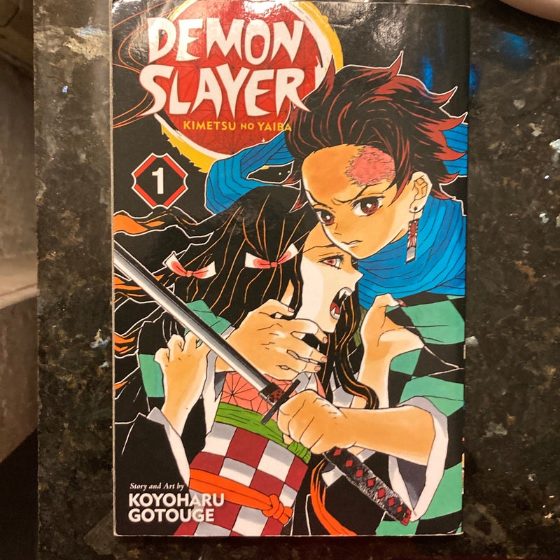 Demon Slayer: Kimetsu No Yaiba, Vol. 1