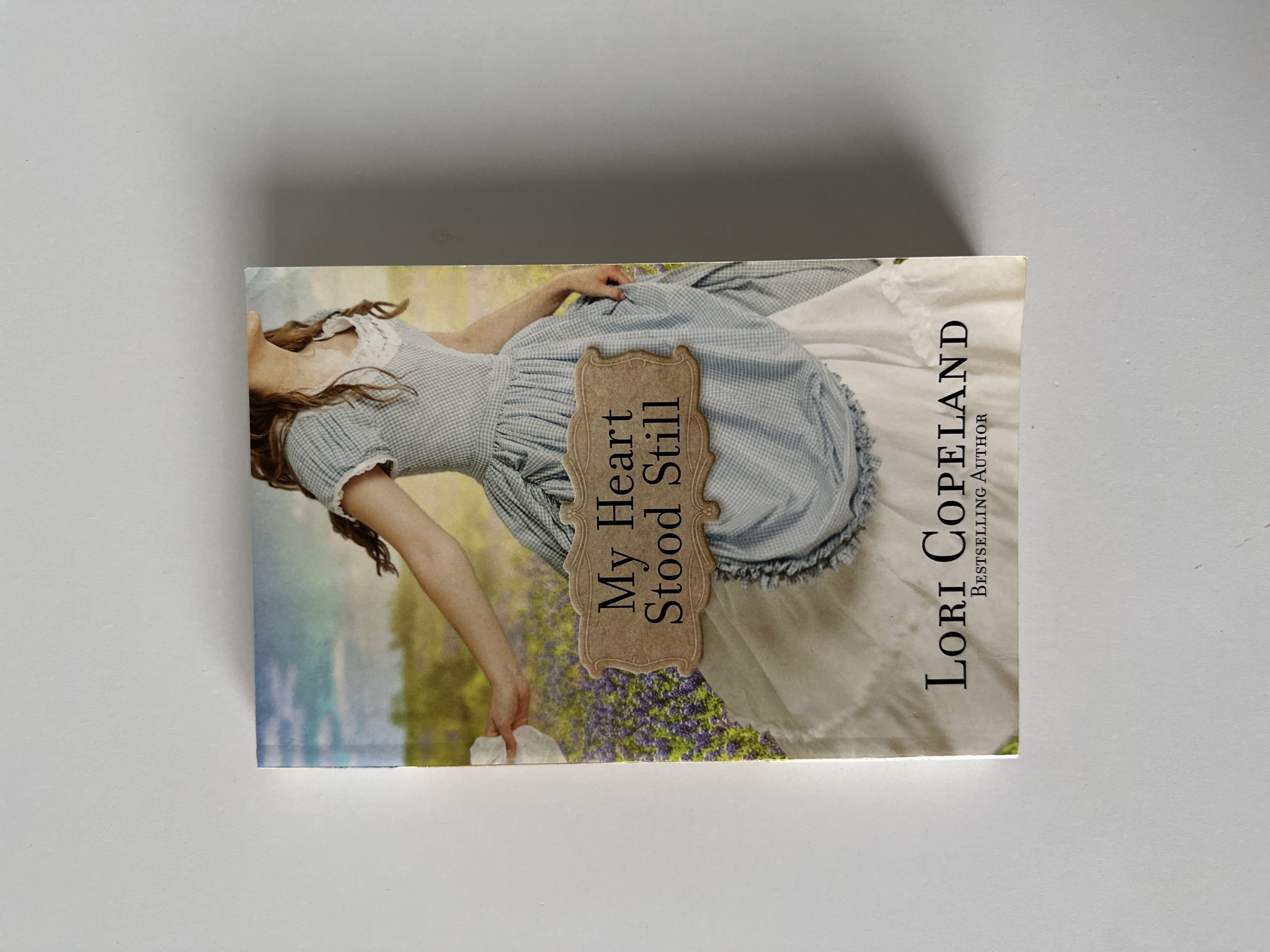 My Heart Stood Still