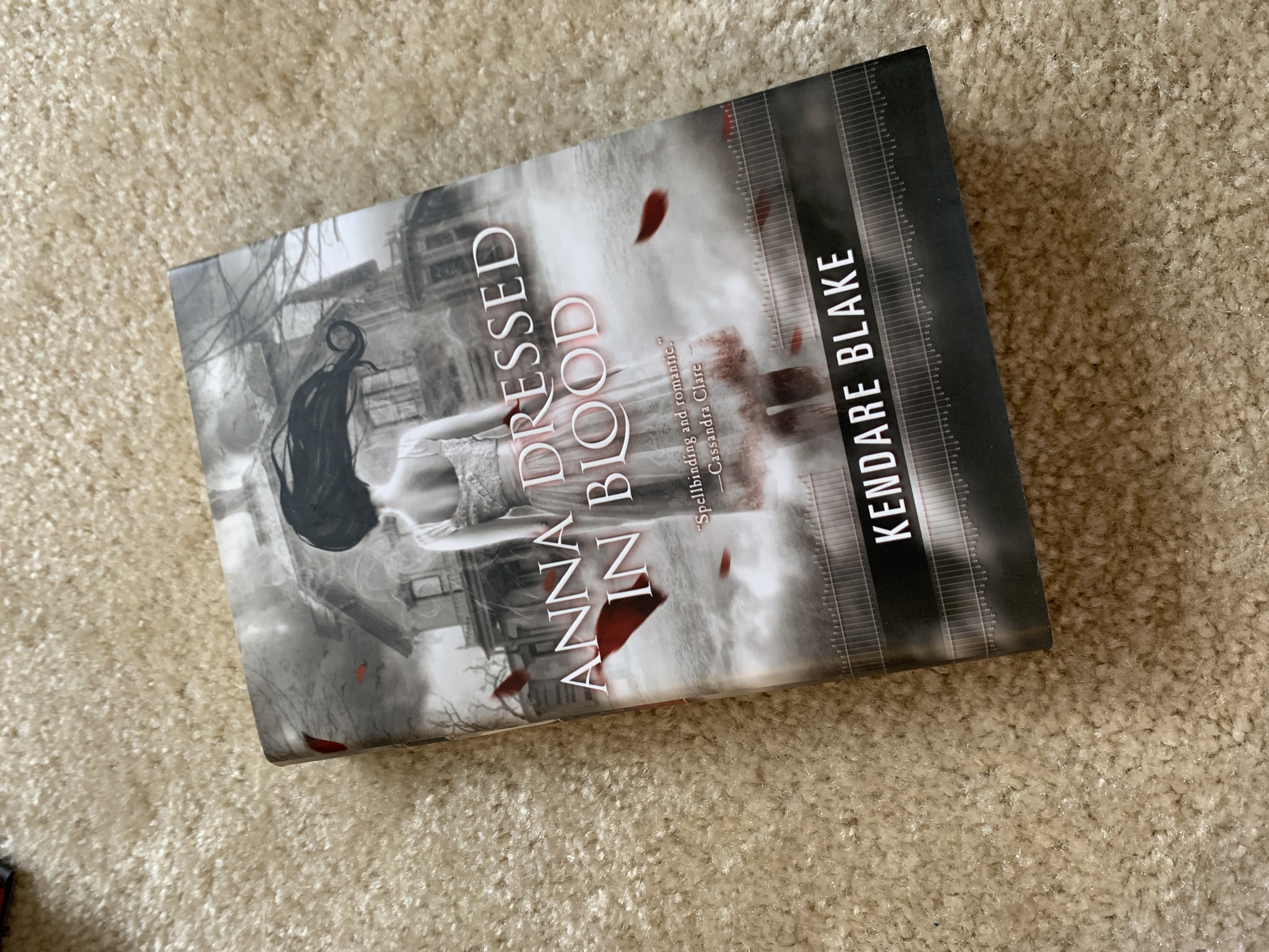 Sale image for dc112ddc-6b35-4995-99fd-d32ef159d5ad-9qBwKyaR5ZVW0Mh6H6EXDGVxXO42