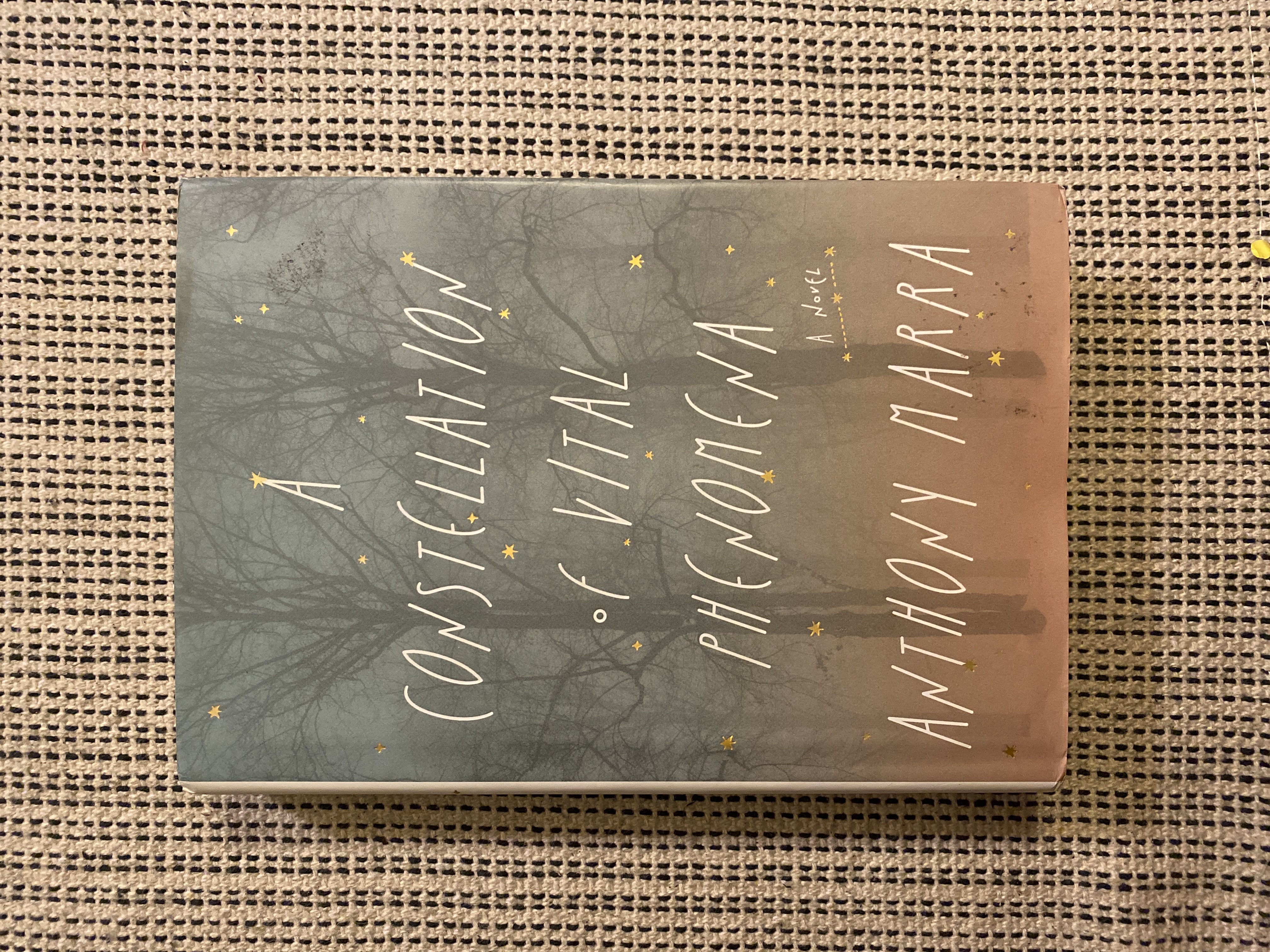 Sale image for 748b0586-7c07-41a8-b02a-2eb20497212d-9qdwTA2TCGaH5ytgaKnYjxMjJfE2