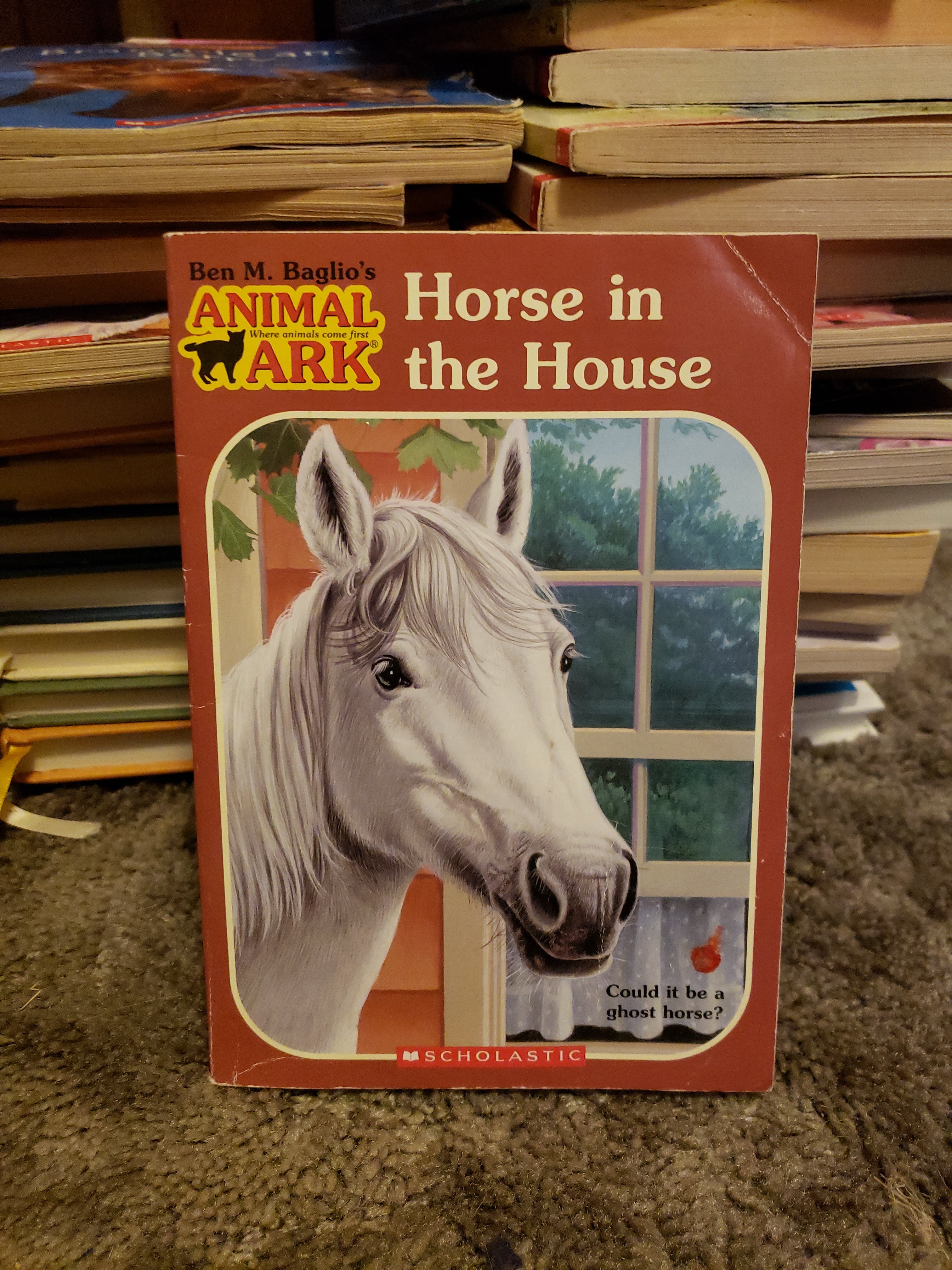 Horse in the House