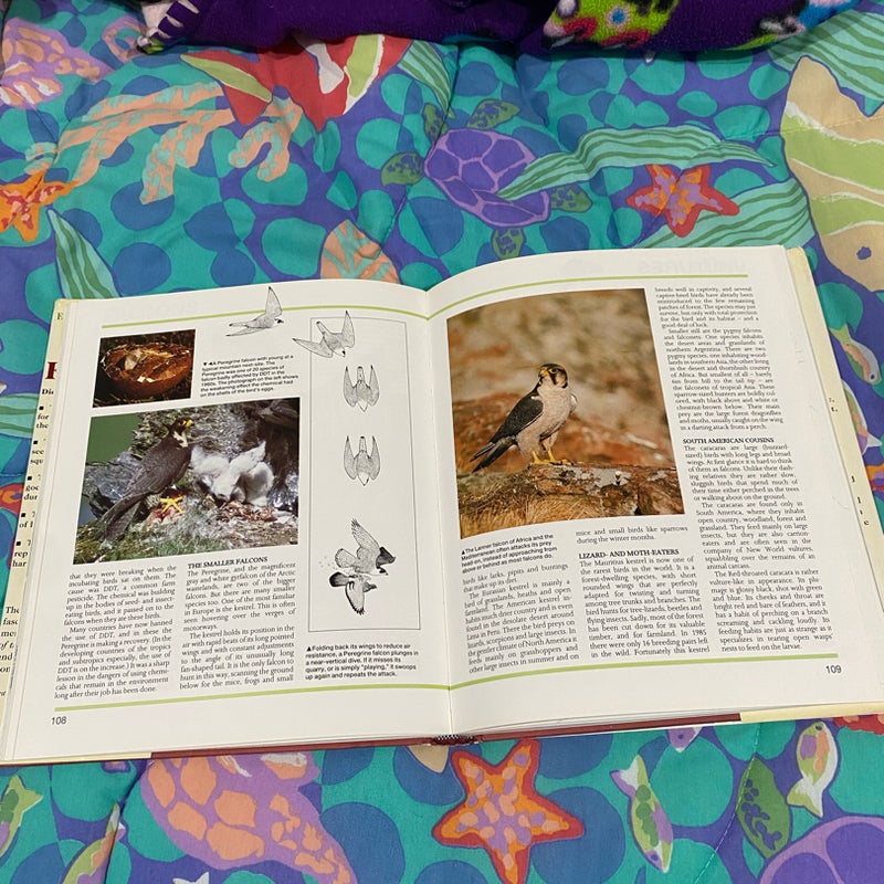 encyclopedia of the animal kingdom 