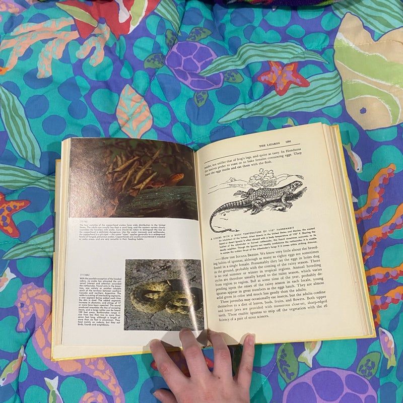 vintage reptile encyclopedia 
