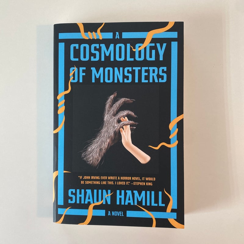 A Cosmology of Monsters