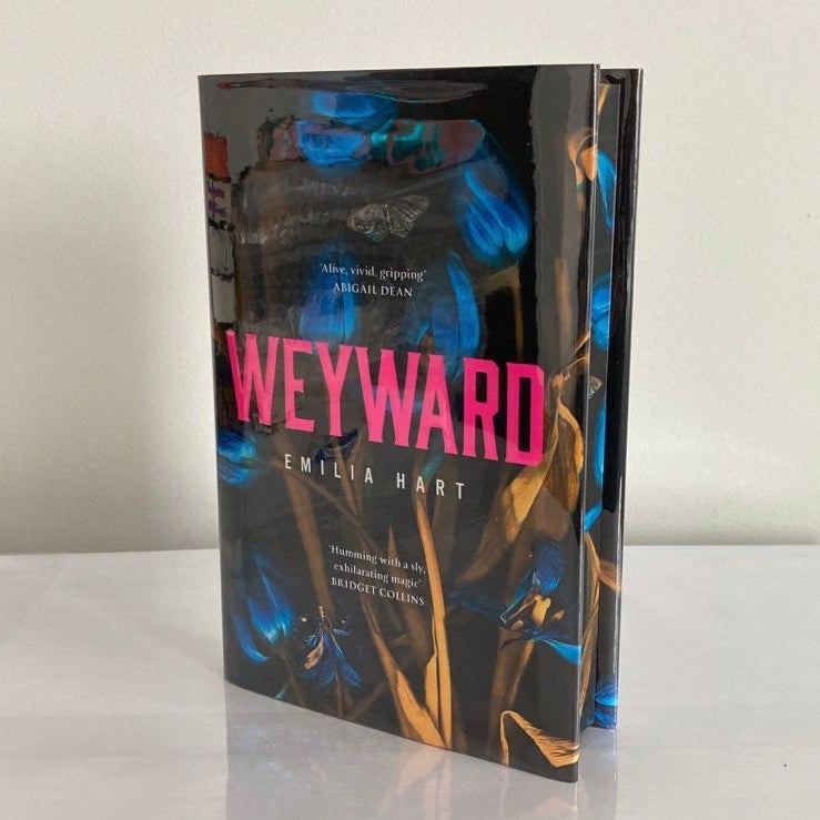 Weyward ~ Waterstones SOLD OUT Edition w/ Stenciled Edges BRAND NEW