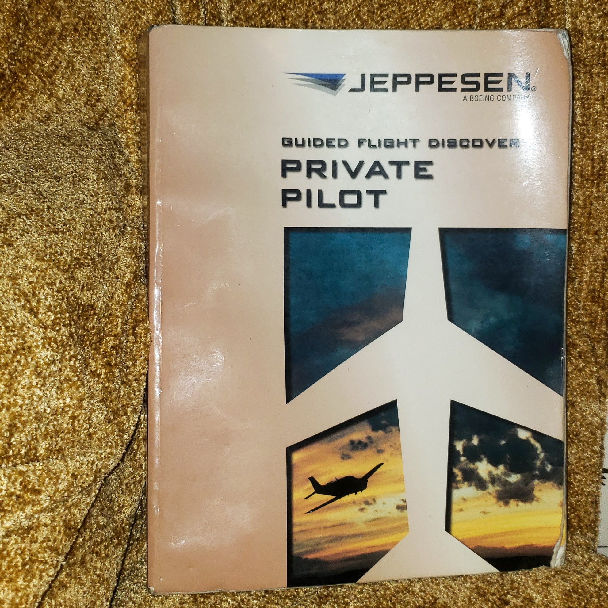 Private Pilot