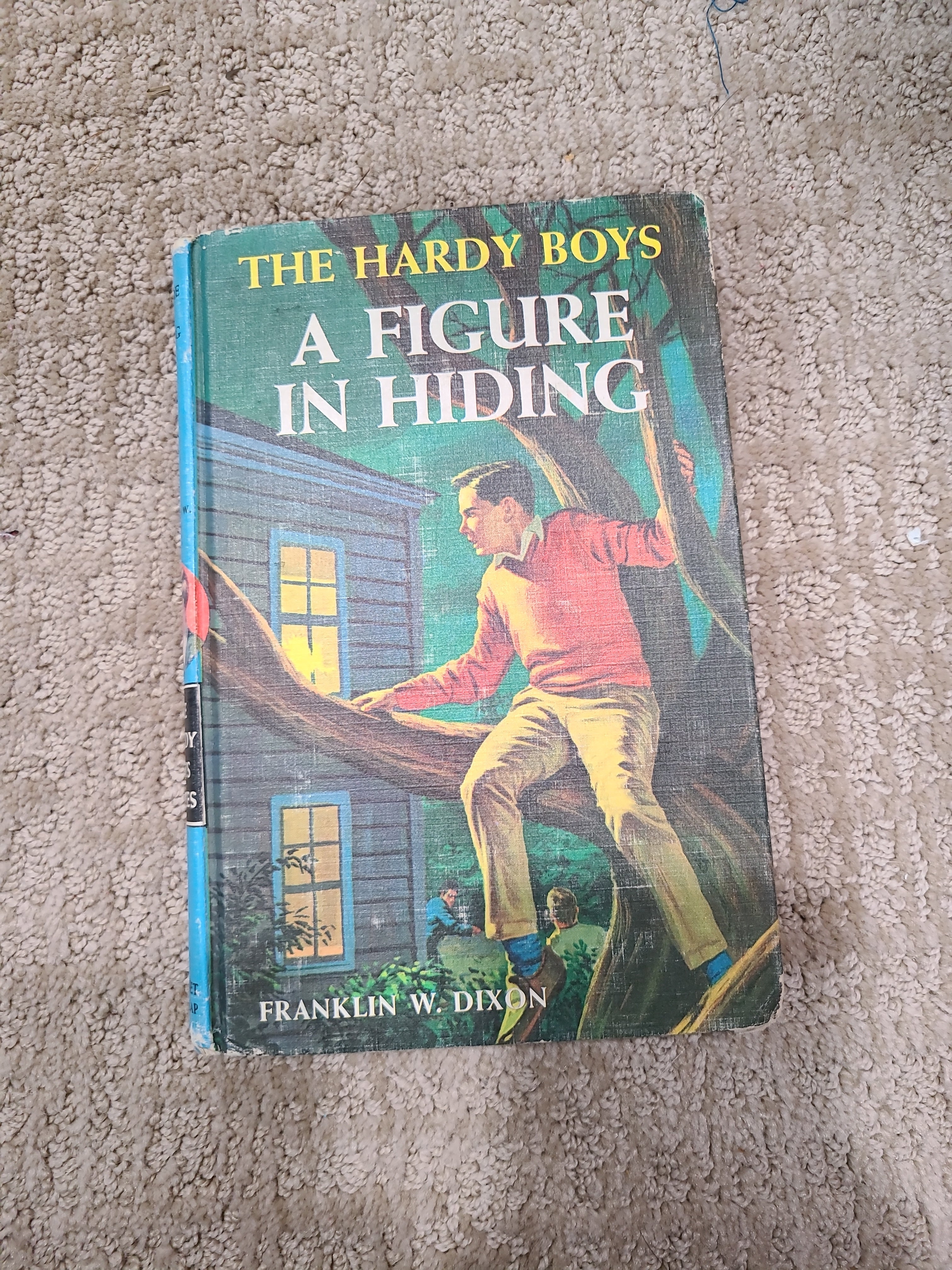 Hardy Boys 16: a Figure in Hiding