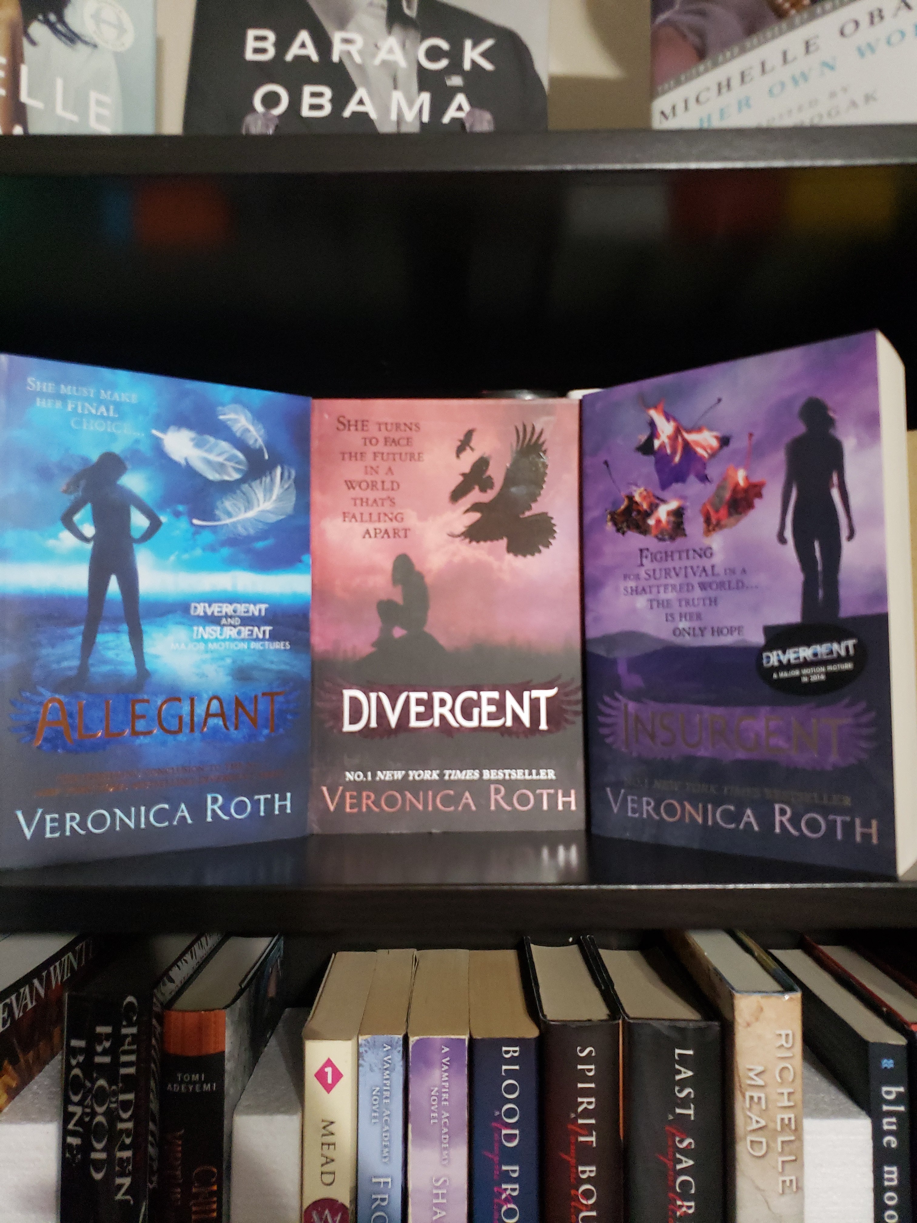 Divergent Trilogy Boxed Set (books 1-3)