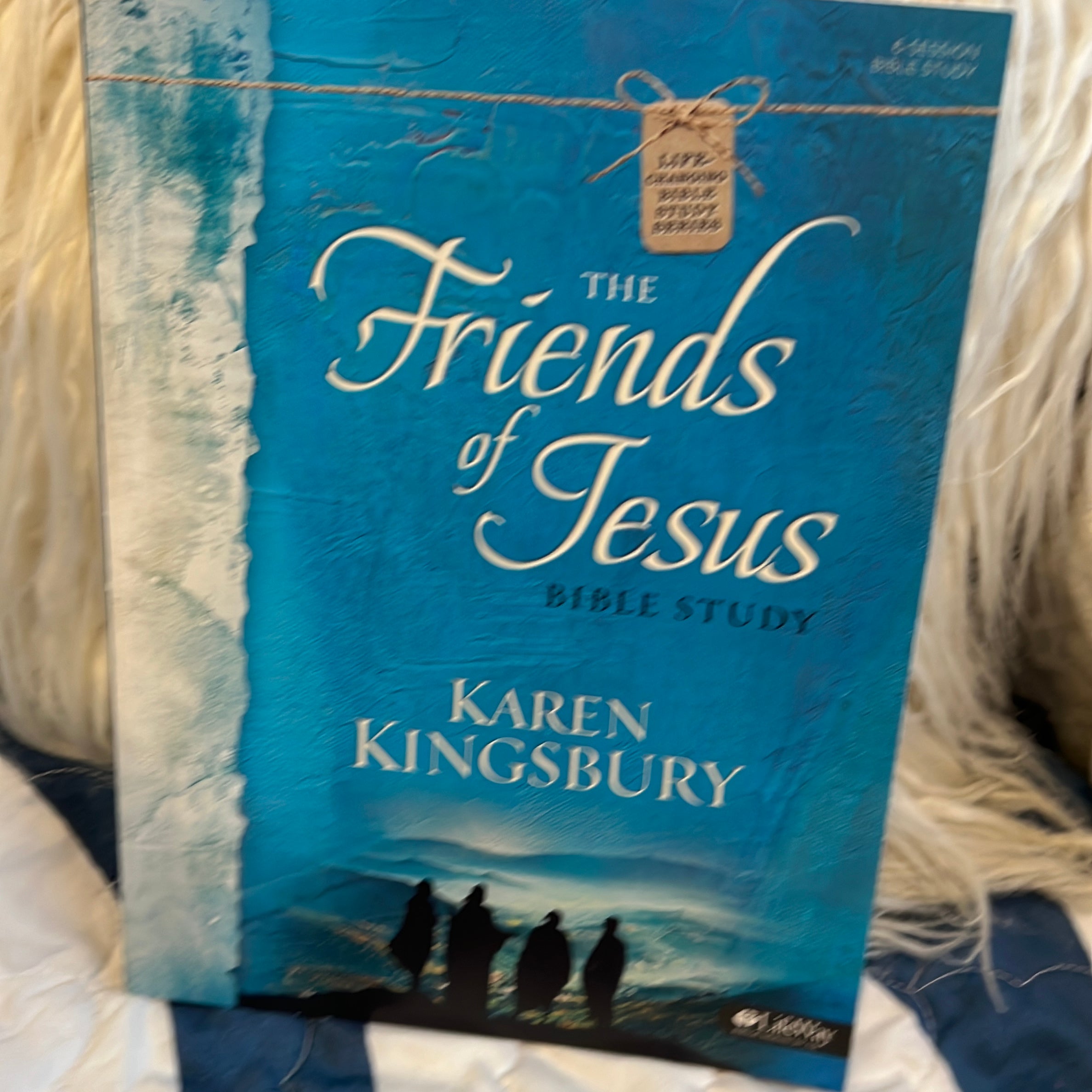 The Friends of Jesus - Bible Study Book