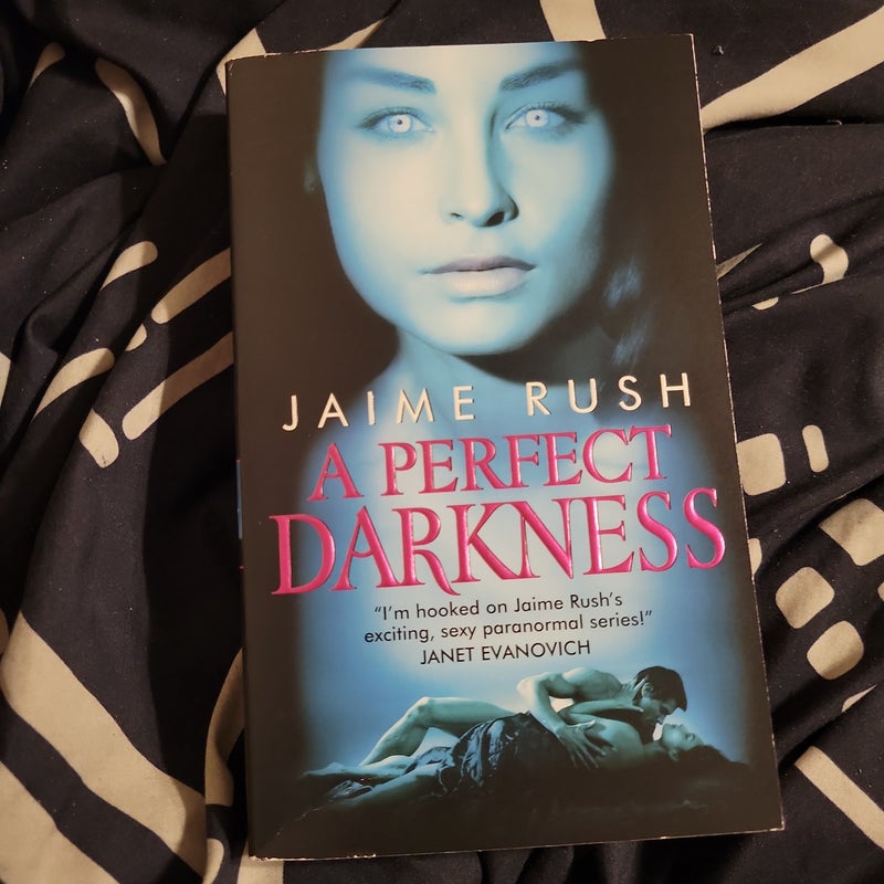 A Perfect Darkness