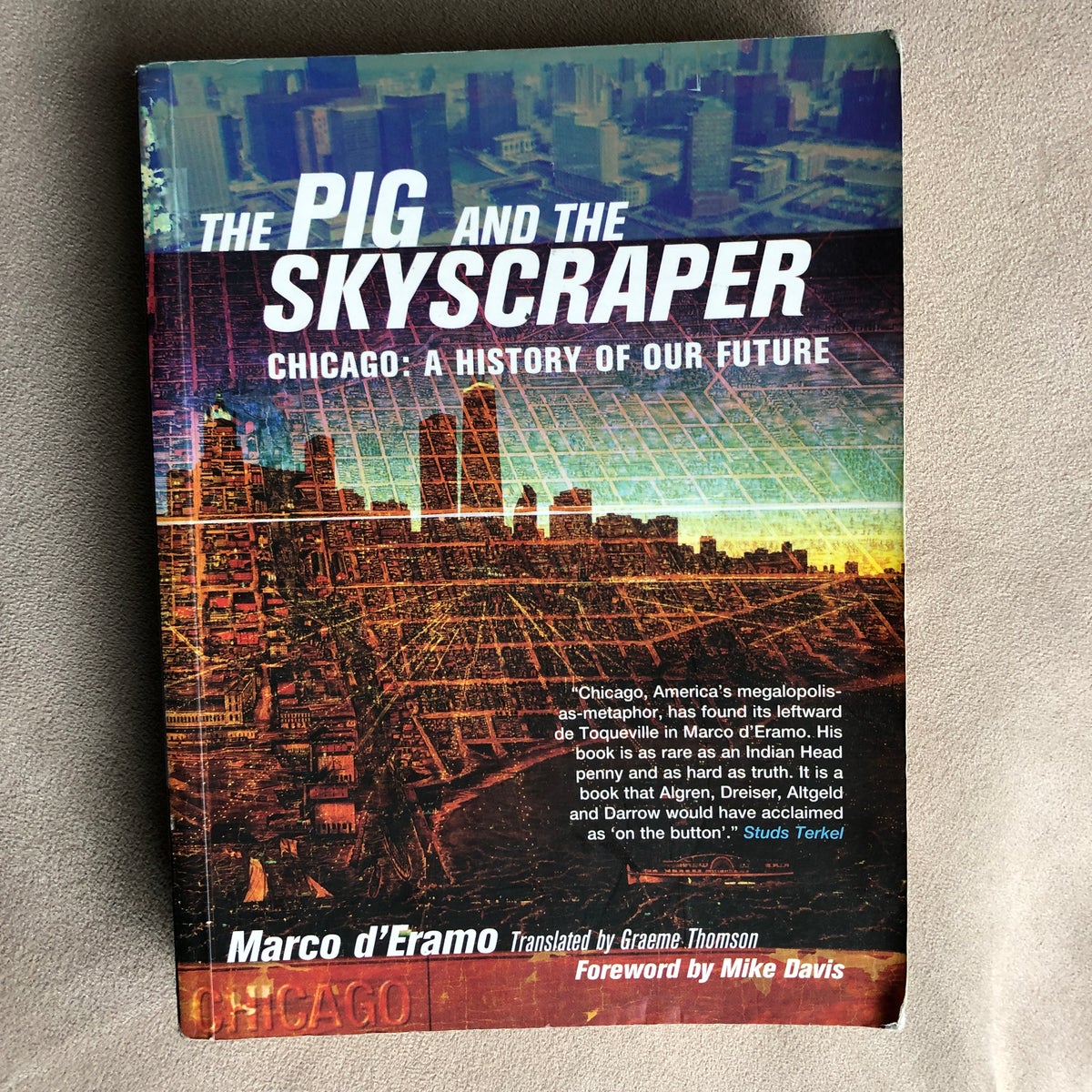 The Pig and the Skyscraper by Marco D'Eramo, Graeme Thomson, Mike Davis