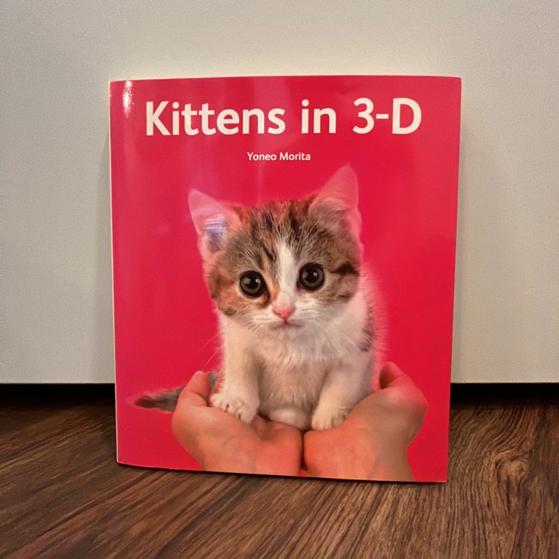 Kittens In 3-D