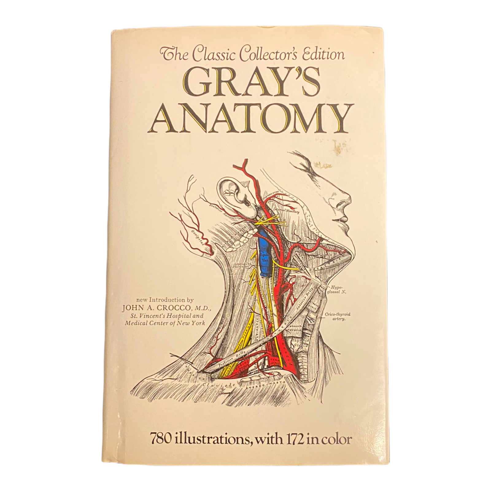 Gray's Anatomy