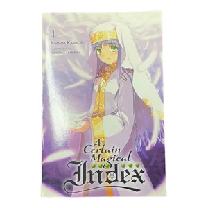 A Certain Magical Index, Vol. 1 (light Novel)