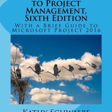 An Introduction to Project Management, Sixth Edition