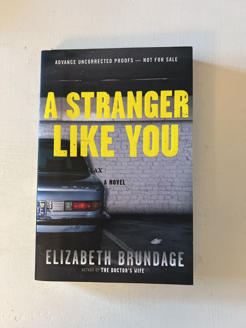 A Stranger Like You