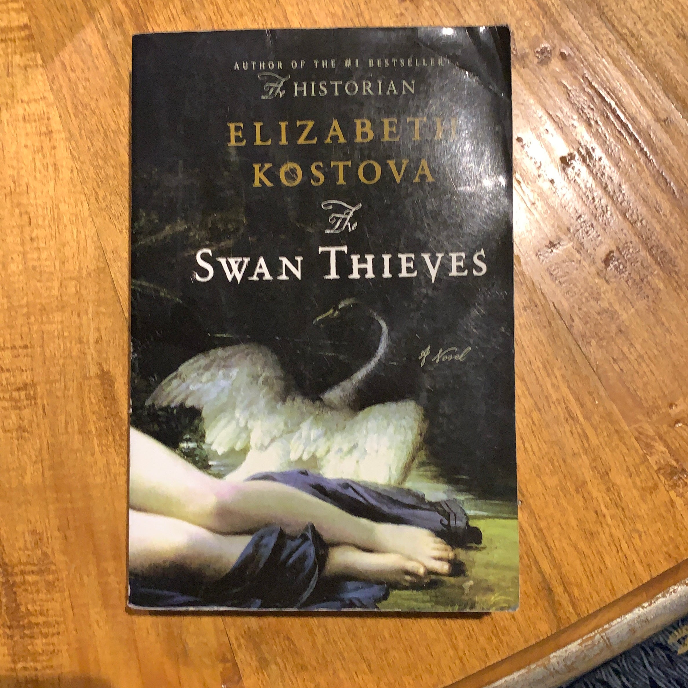 The Swan Thieves