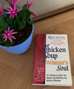 Chicken Soup for the Woman's Soul