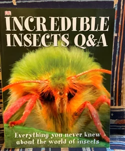 Incredible Insects Q&A