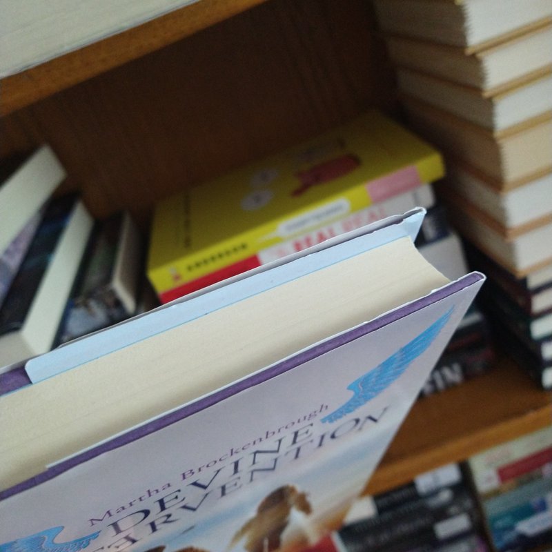 Devine Intervention By Martha Brockenbrough