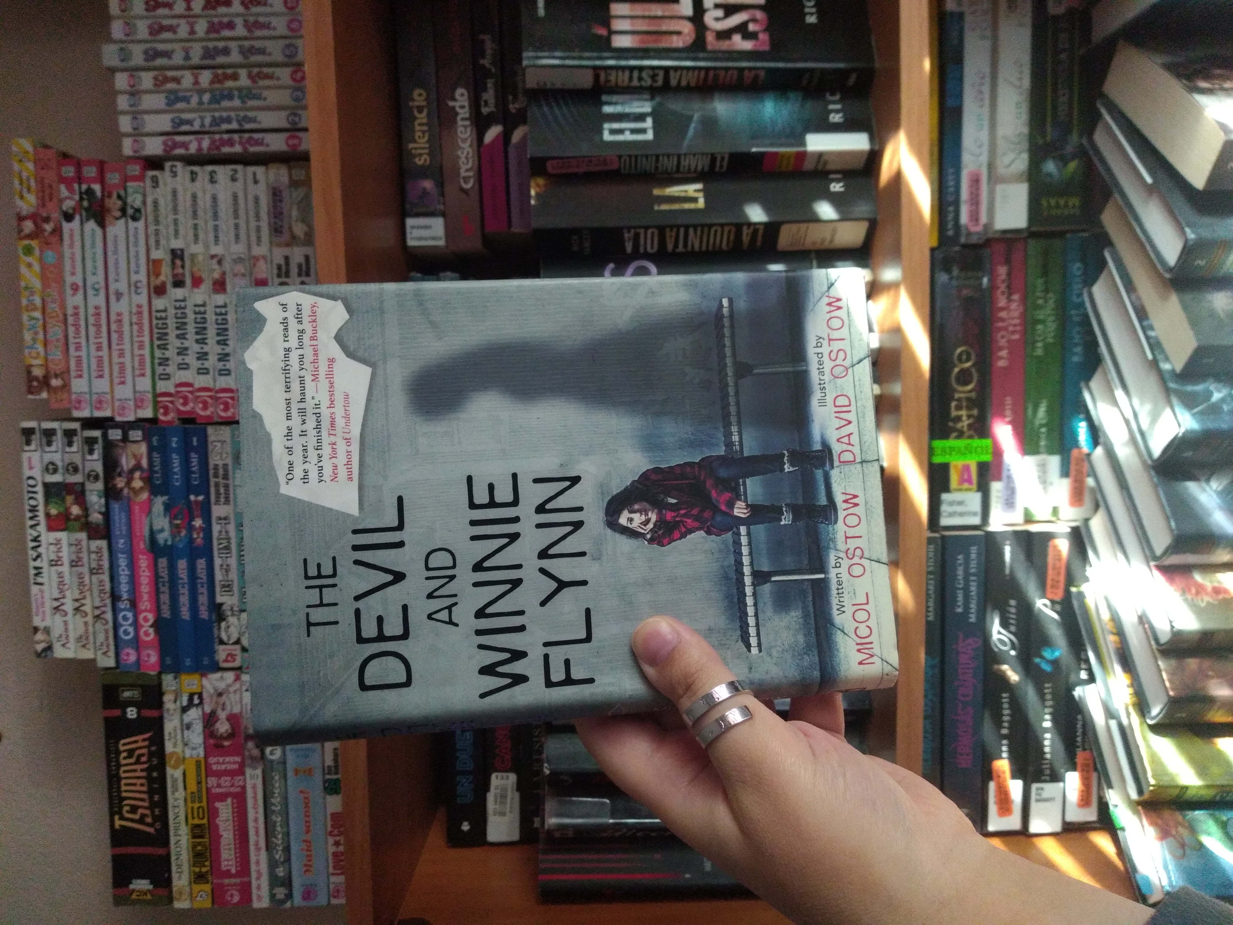 The Devil and Winnie Flynn