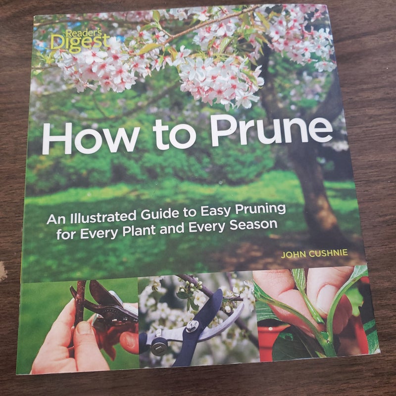 How to Prune