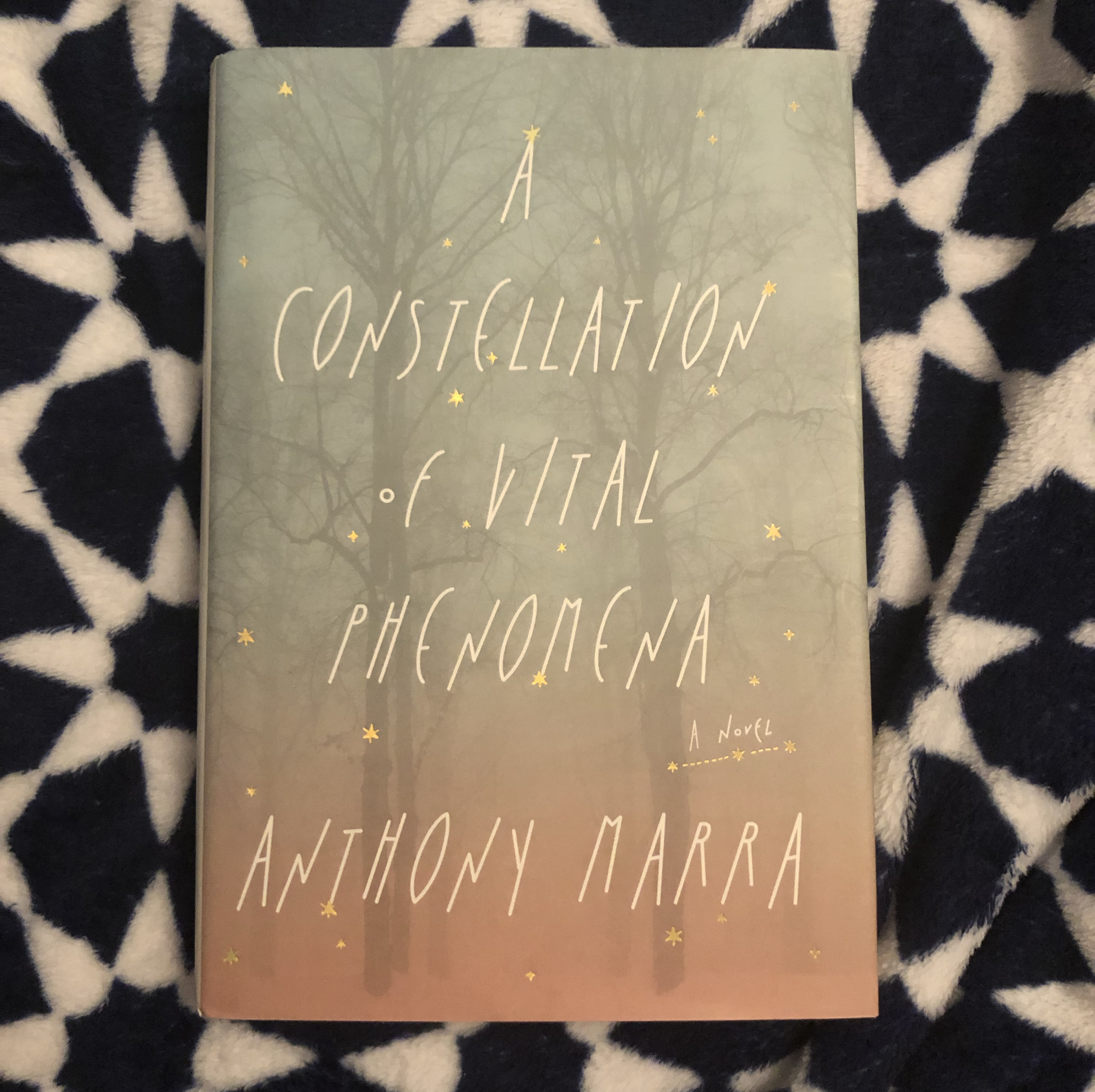 Sale image for 3ed2e8c0-8963-4309-8ef5-4acb154d2134-9UWZsaK1jhuulU9zDZoyO-FIcLFTm0Pv9okC0c1g8t