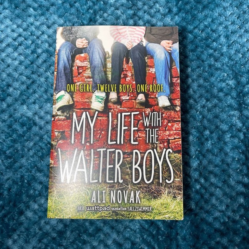 My Life with the Walter Boys