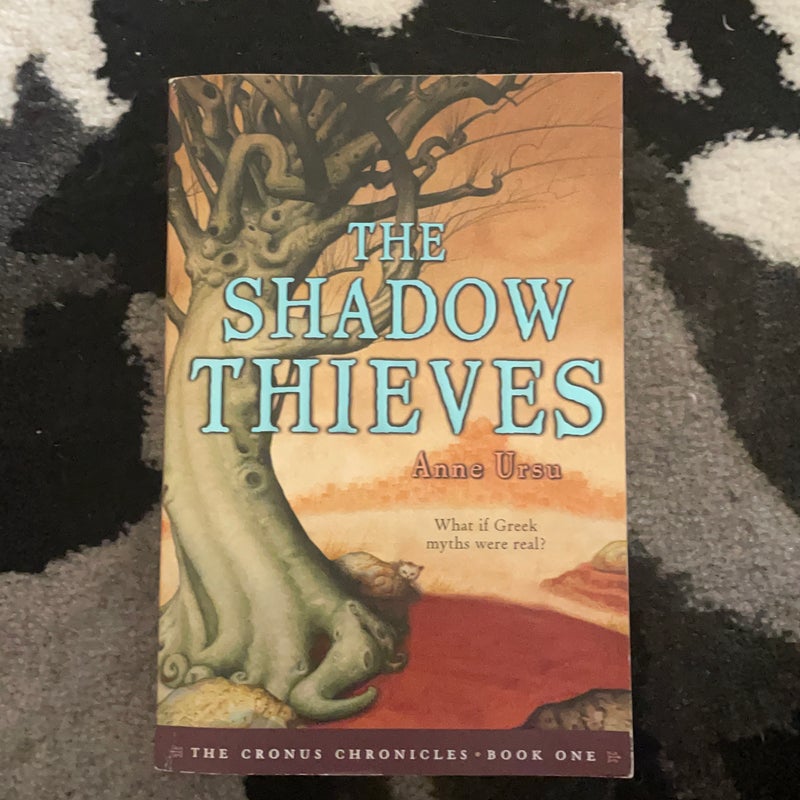 The shadow thieves